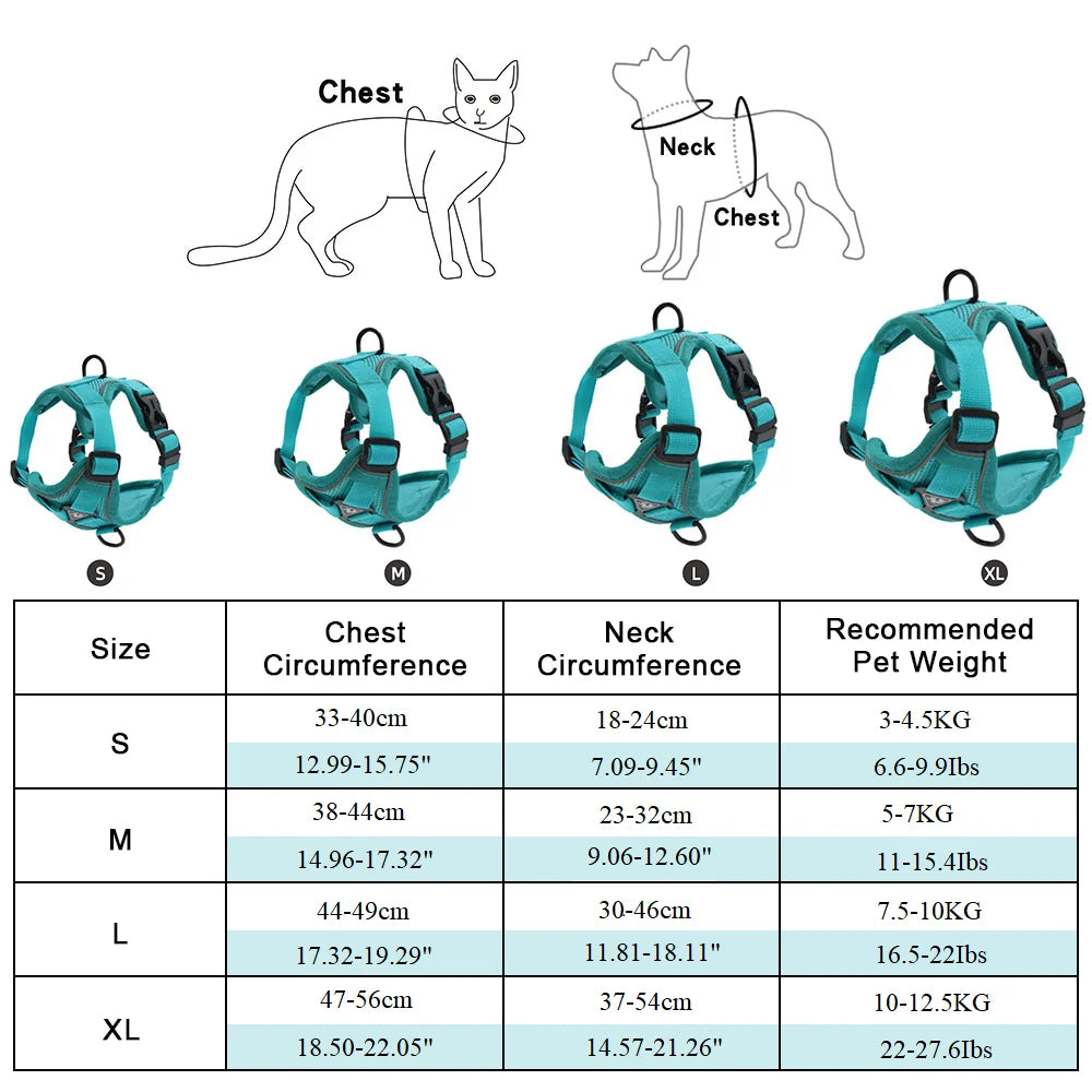Harness and Leash Set Pet Accessories Dog Harness For Small Dog French