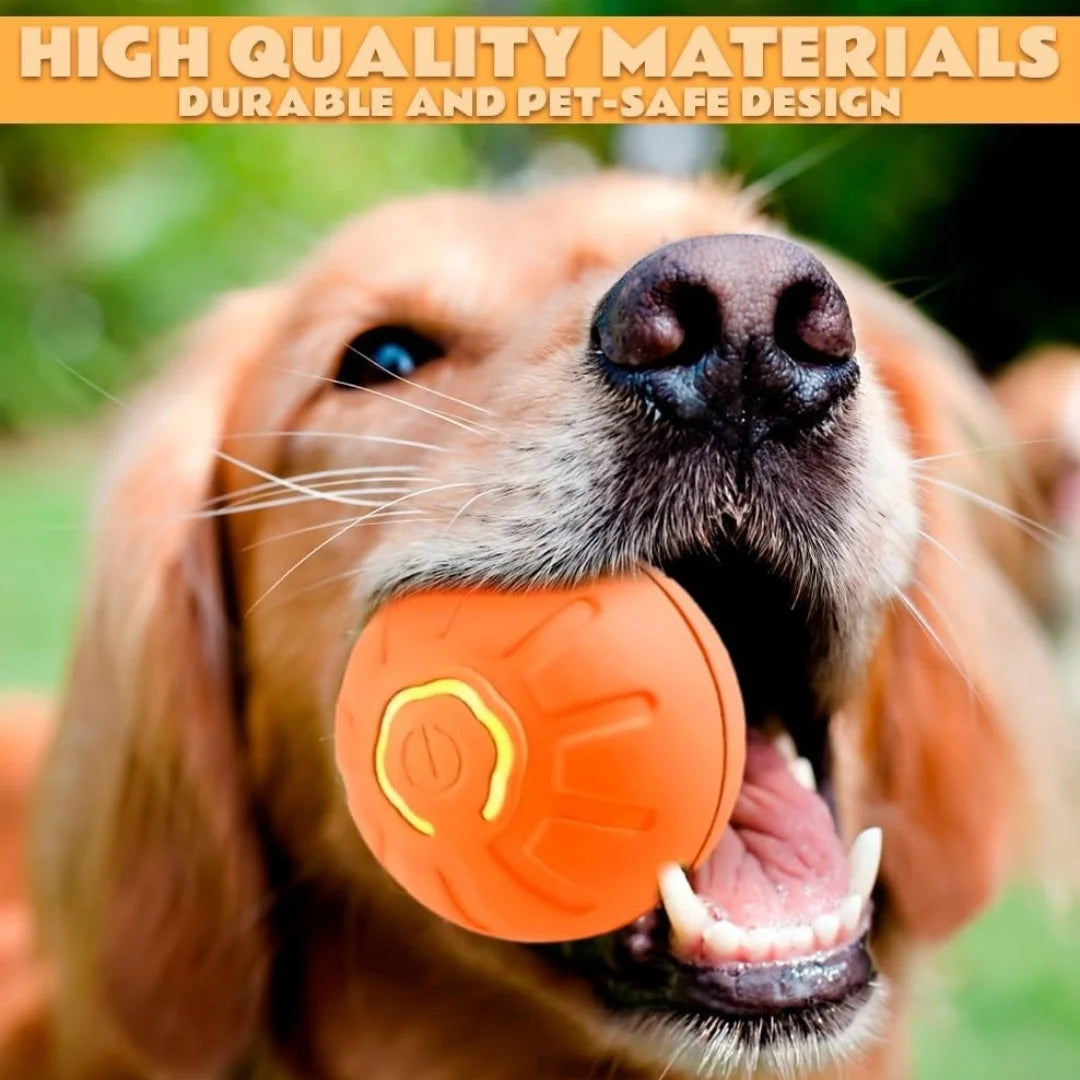 Pet toys Gravity Electric Amusement Pet Ball Smart Bouncing Ball For