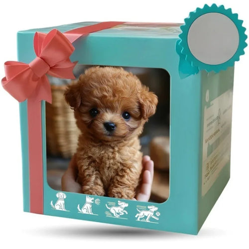 Cute Interactive Puppy Plush Toy Voice Control Soft Stuffed Animal