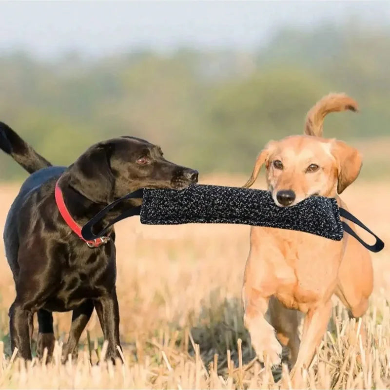 Dog Training Bite Stick Double Handle Interactive Toy Teeth Grinding