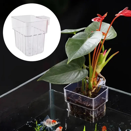1PC Hydroponic Planting Cup Household Water Grass Planting Cup Wall