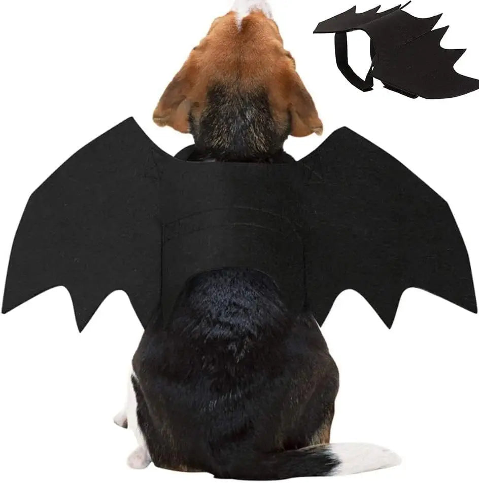 Wholesale Cute Cat Cosplay Costume Black Bat Wings Safety Belt Role