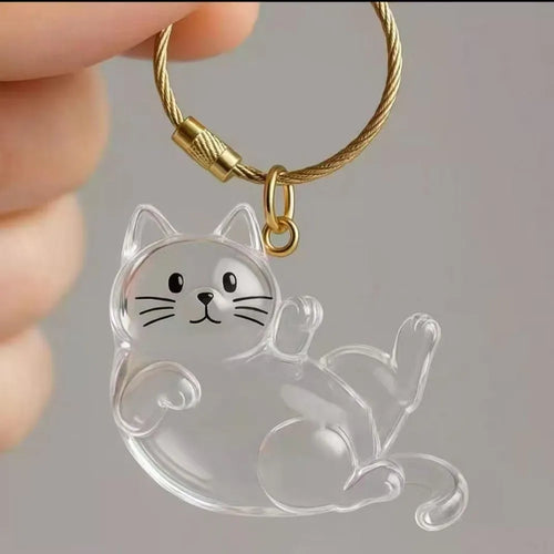 Rakol New Transparent Pet Hair Storage Box Cat Hair Storage Capsule