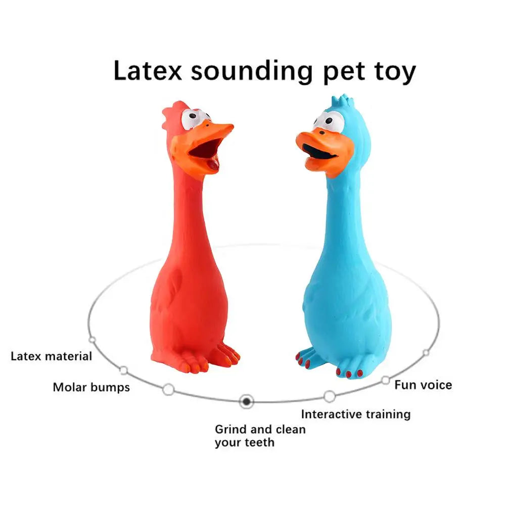 New Squeak Dog Toy Chew Bone Squeaky Ball Chicken Sound Dog Toys Tooth