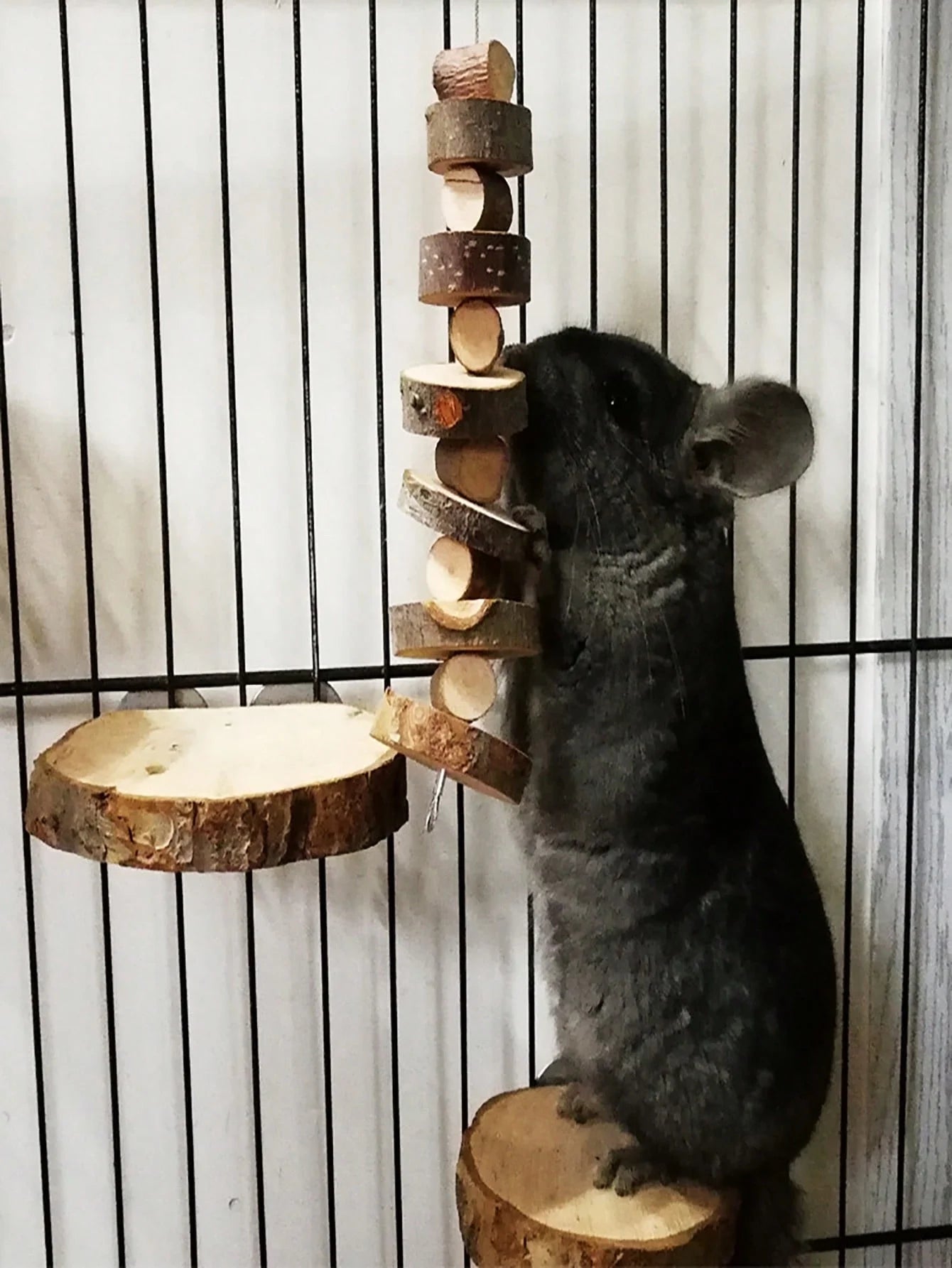 1pc-Simple wooden apple wood chew toy rabbit, chew stick, round wood