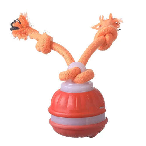 Pet Ball for Dogs Interactive Toys Motion Activate Rolling Ball for
