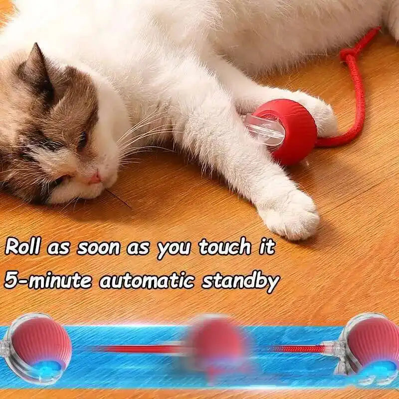 Smart Dog Interactive Ball Toys Automatic Rolling Ball Rechargeable