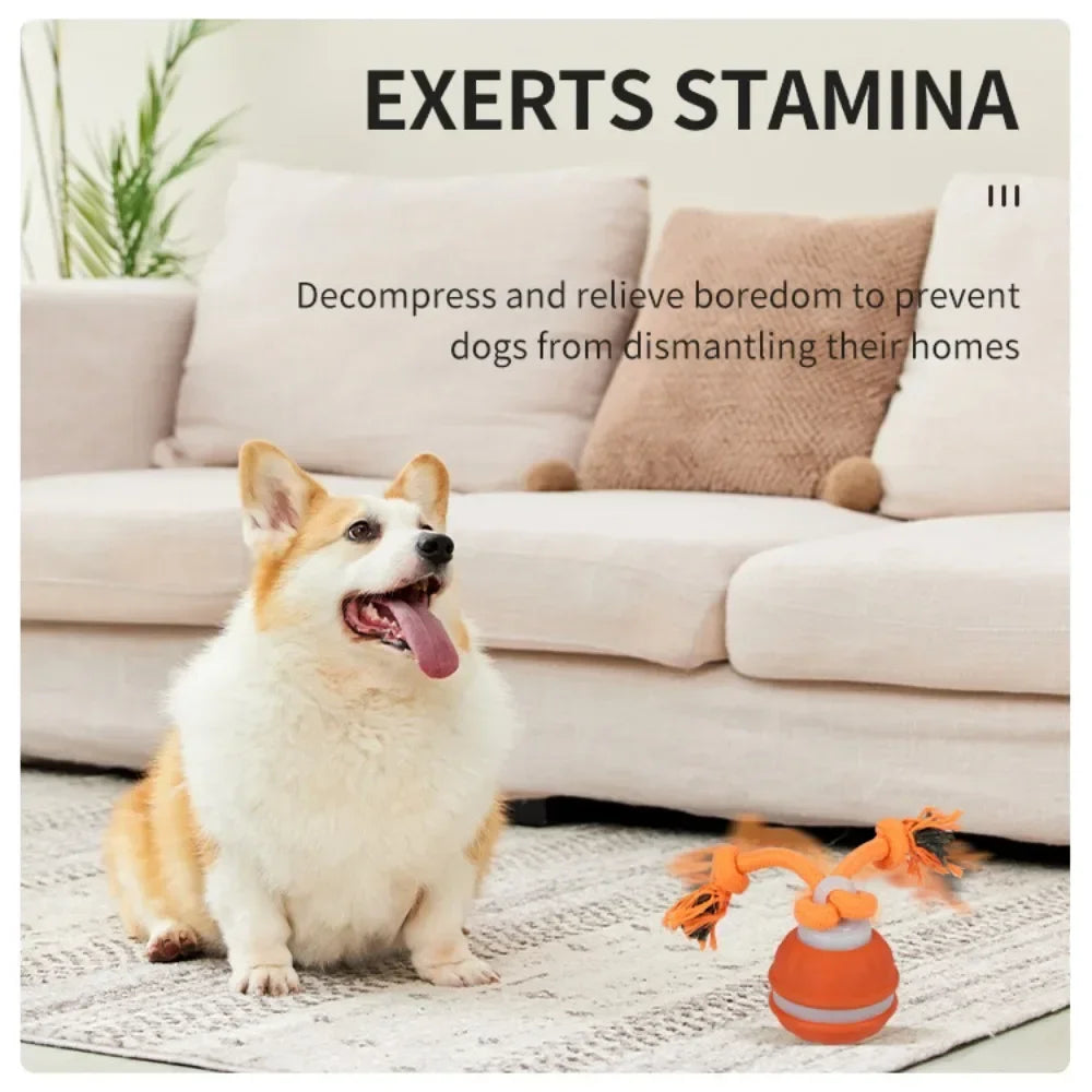 Pet Ball for Dogs Interactive Toys Motion Activate Rolling Ball for