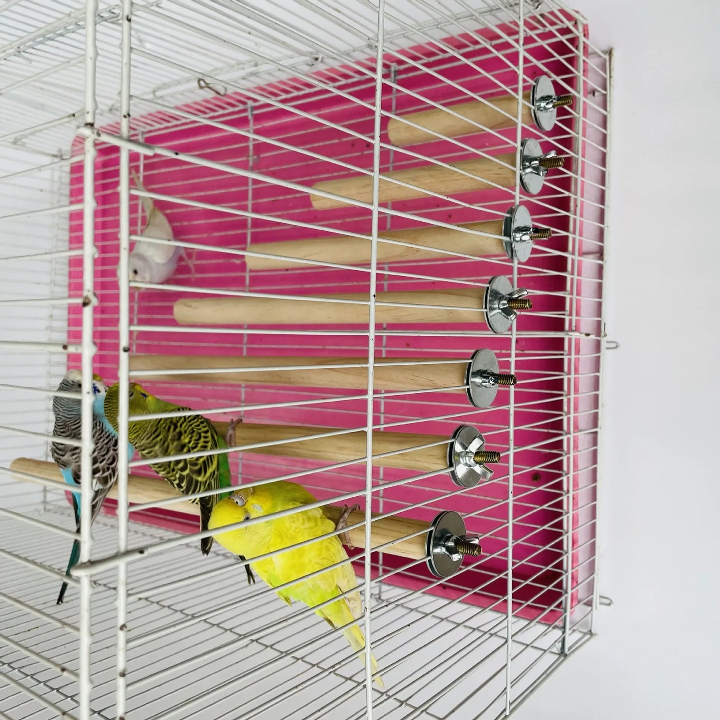 Parrot Pet Raw Standing Stick Wood Hanging Stand Rack Toy Sticksstand