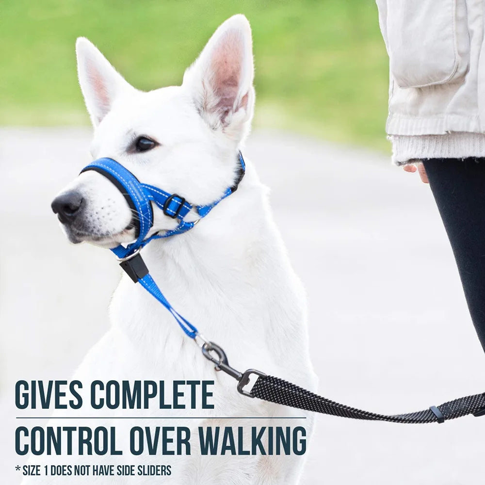 Dog Mouth Muzzles Anti Bark Dog Collar Breathable Dog Training Tool