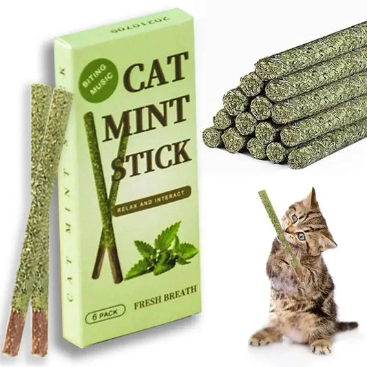 6pcs Natural Matatabi Cat Stick Mint Caught Bite Excited Rods