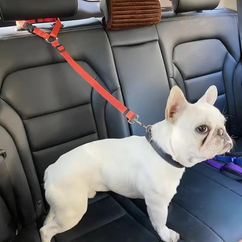 Solid Color Pet Car Seat Belt Nylon Lead Leash Backseat Safety Belt