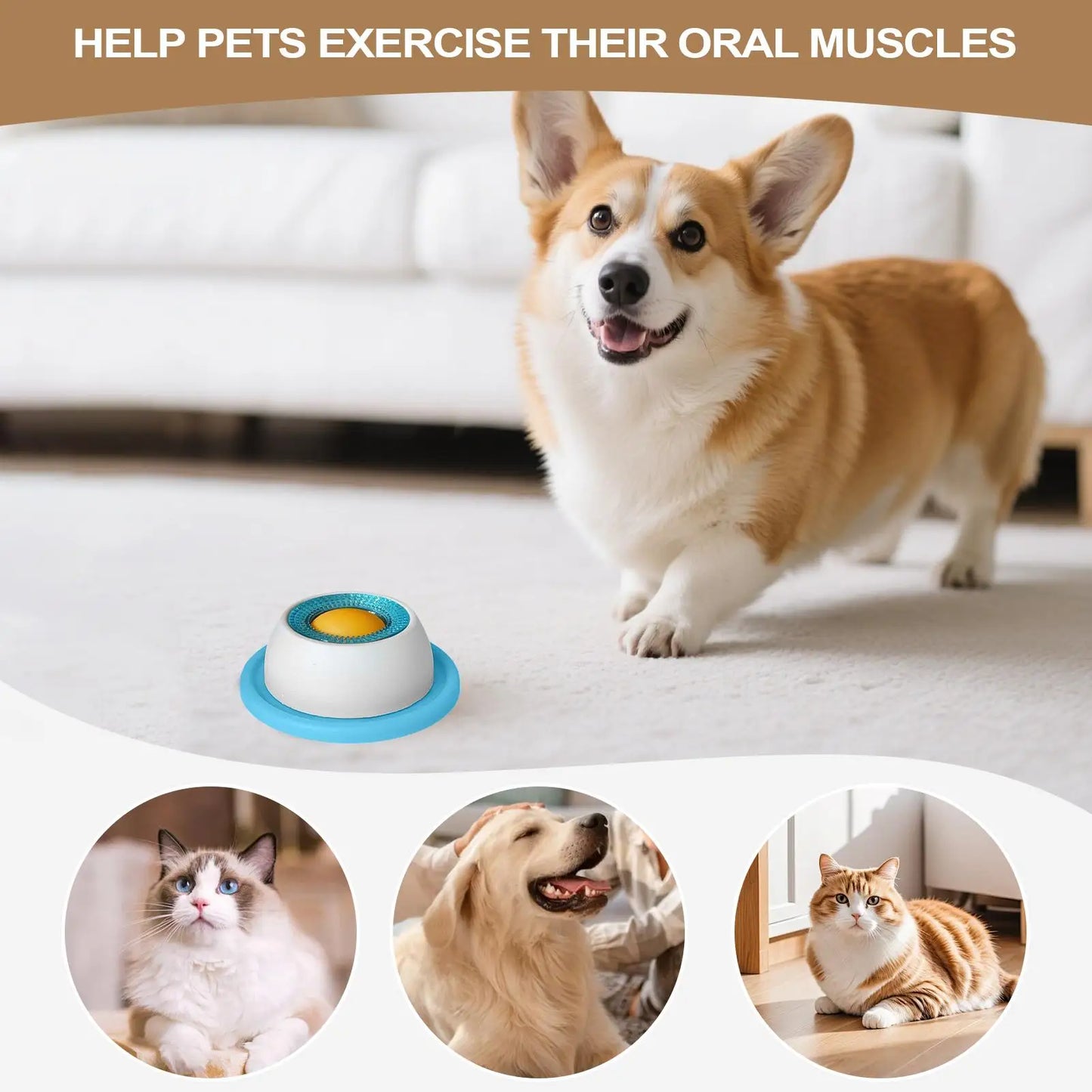 Pet Feeding Accessories Dog Treat Toy Puzzle Toys For Bored Puppy Slow