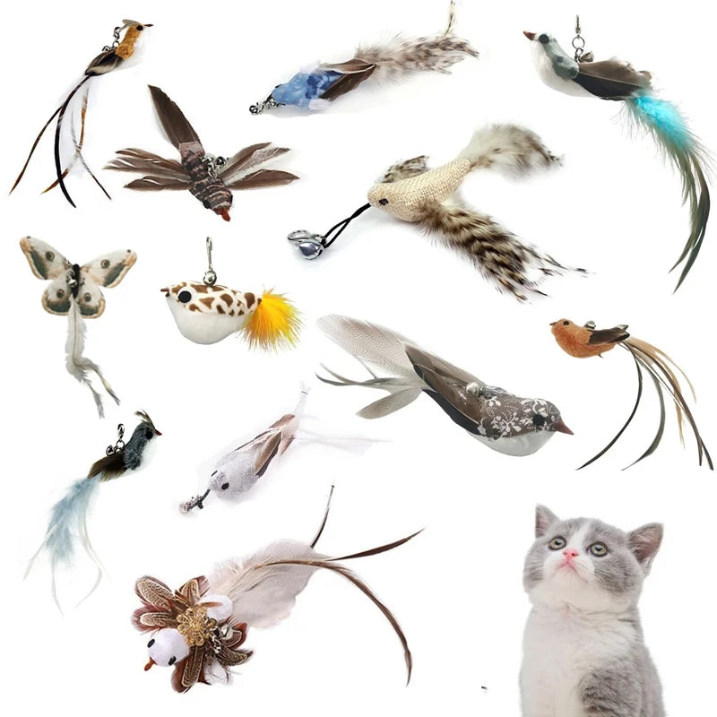 Funny Bird Feather Cat Wand With Bell Accessories Interactive Toys For