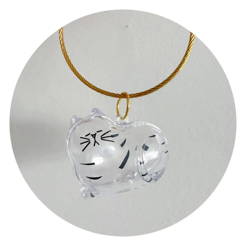 Transparent Dog Hair Storage Container Adorable Pet Keepsake Capsule