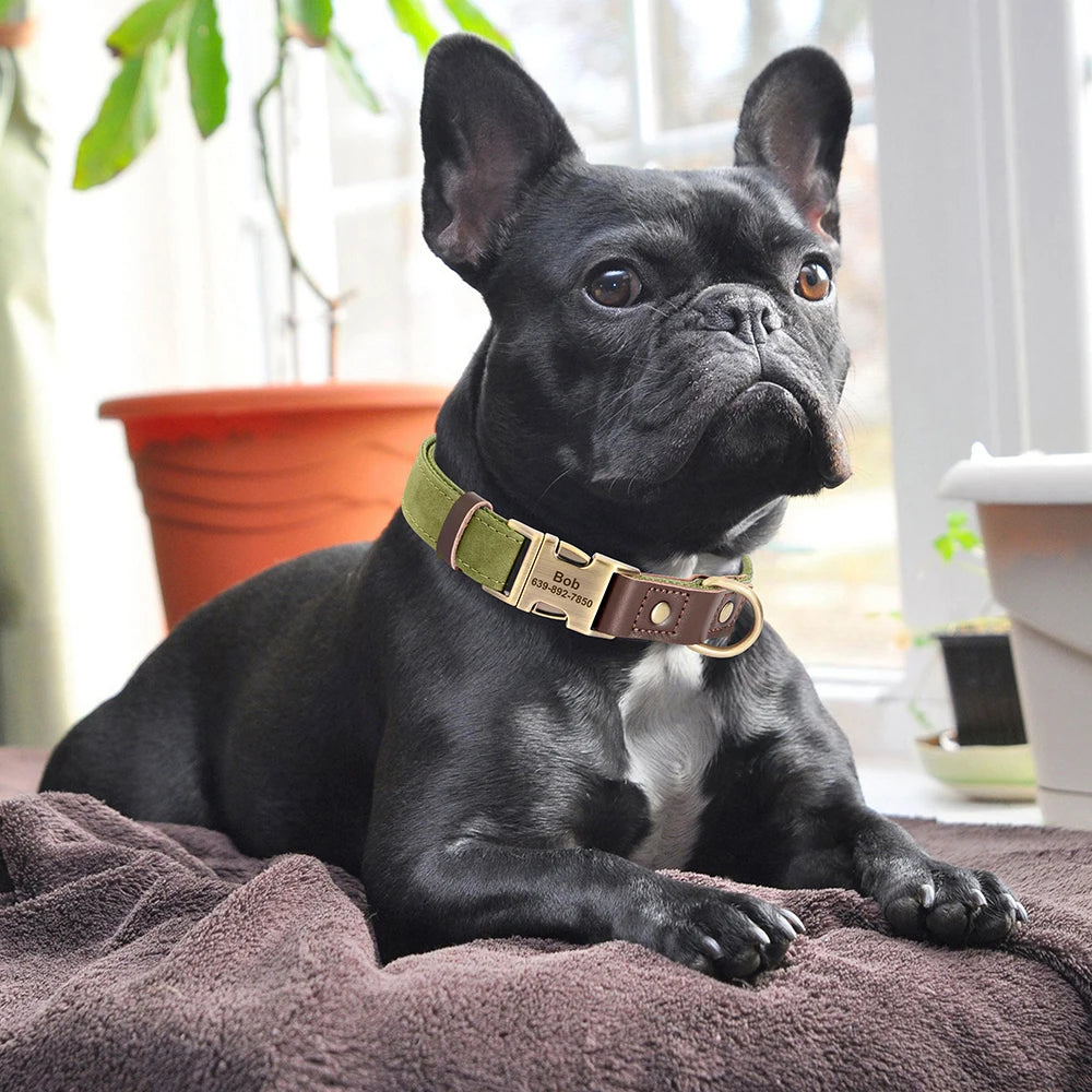 Free Custom PU Leather Dog Collar Engraved Dog Collars Adjustable Pet