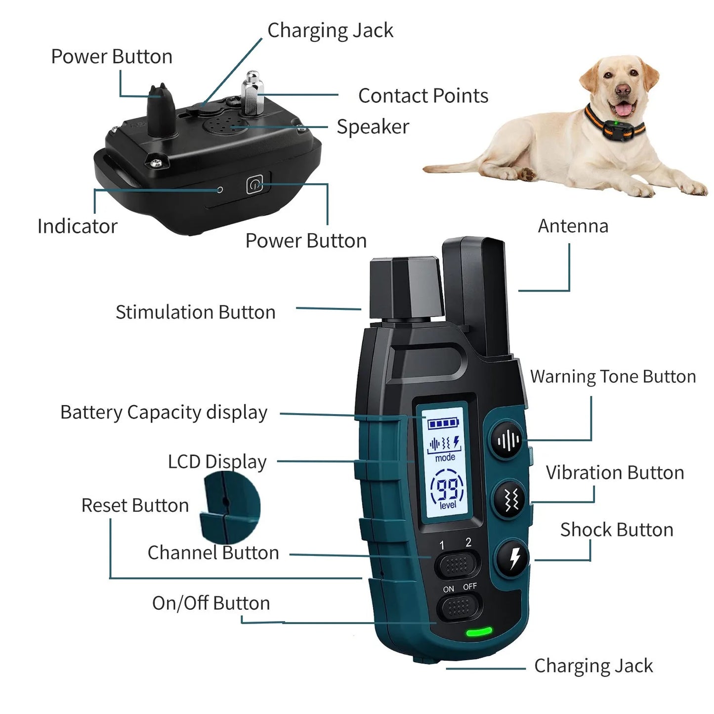 1000M Remote Pet Dog Training Collar IP67 Waterproof Shock Vibration