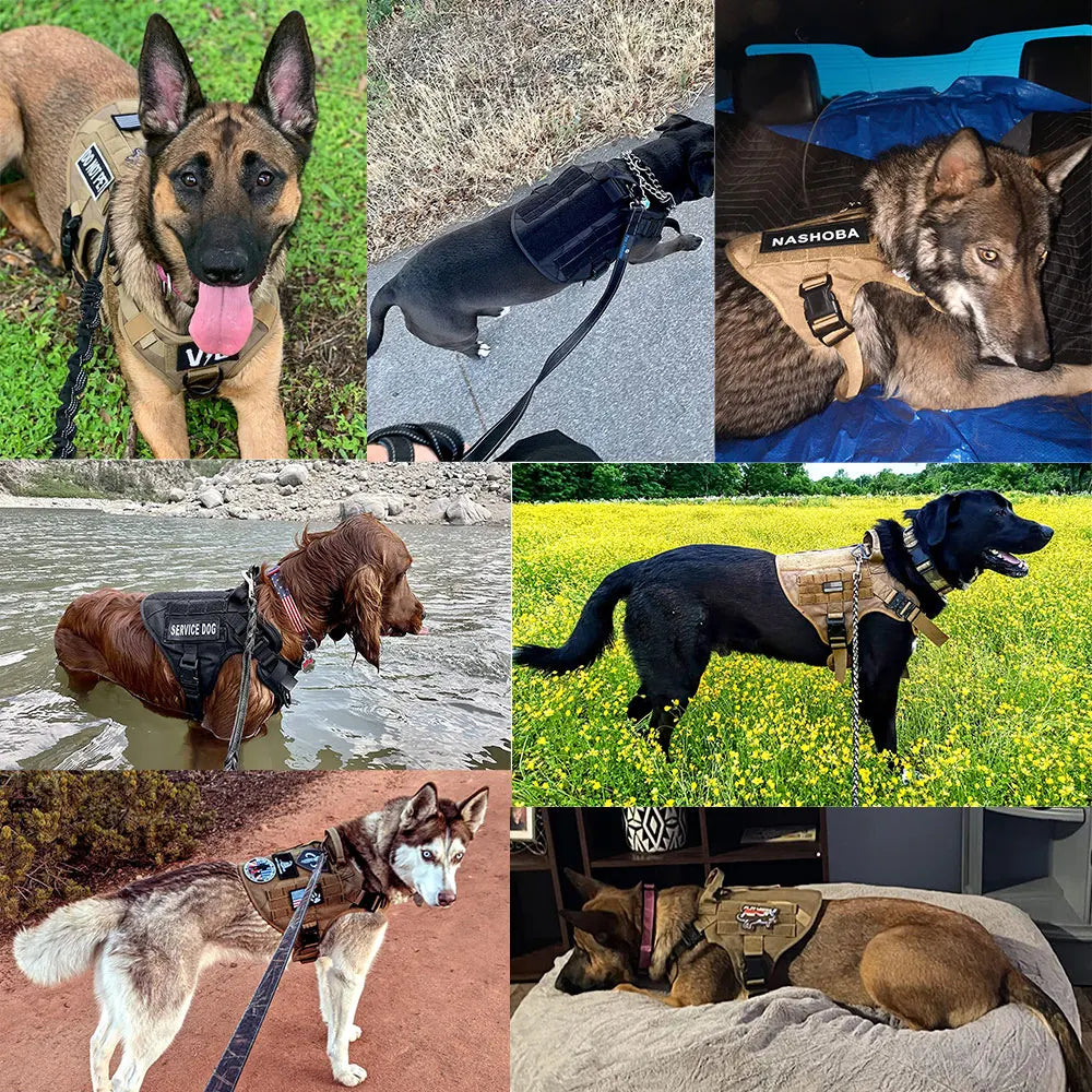 Military Large Dog Harness Pet German Shepherd Malinois Training Vest