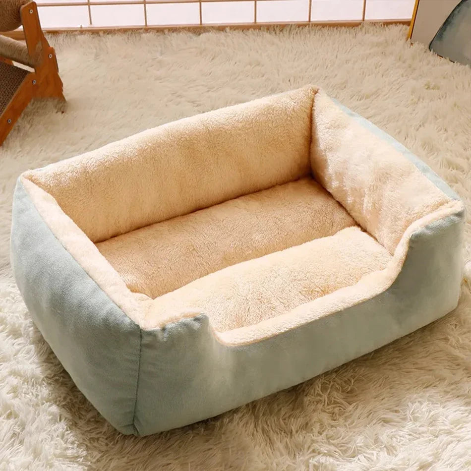 Bed for Cats Pet Products Cushions Kitten Goods Accessories Dog All