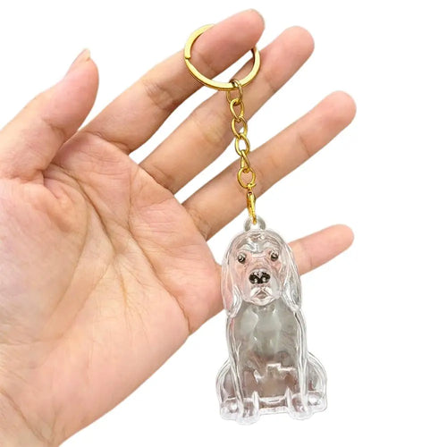Transparent Cute Dog Hair Storage Keychain Pet Fur Keepsake Capsule