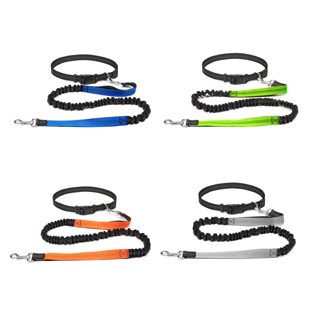 Hand Free Dog Leash for Pet Walking Running Jogging Adjustable Dog