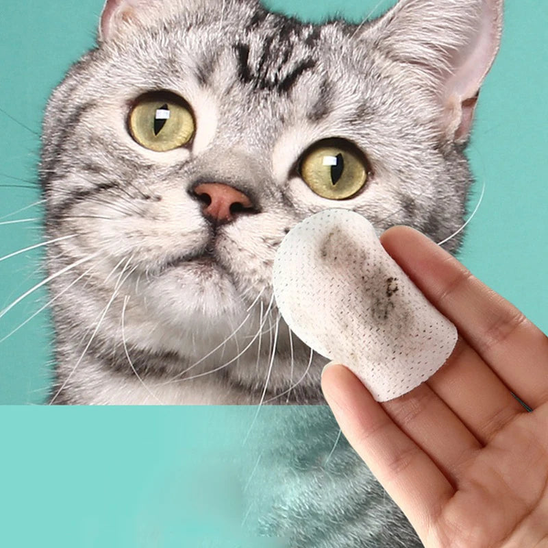 Pet Eye Wipes Cats And Dogs Tearmark Wet Wipes Cats And Dogs Universal