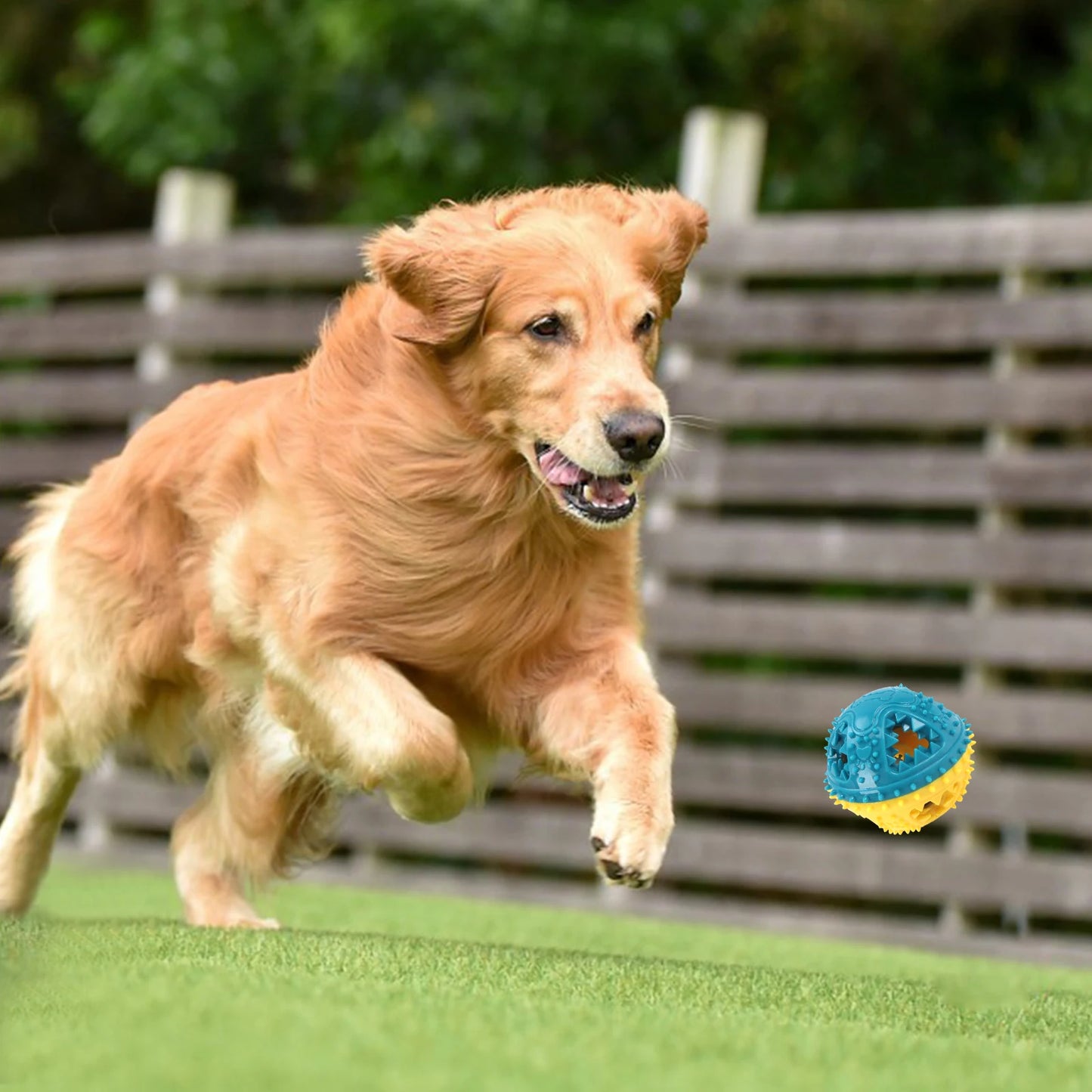 Dog Chew Toys Grinding Teeth Sound Ball Toys Leaking Food Balls Anti