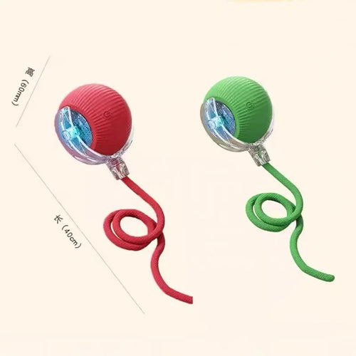Hot Electric Dog Ball Toys Automatic Rolling Ball Rechargeable Smart