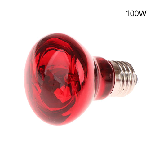 25/40/50/60/75/100W E27 UVA Poultry Bulb Infrared Night Light Day