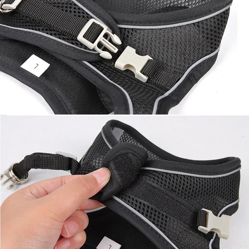 Puppy Harness Set Dog Accessories Adjustable Pet Vest Dogs French