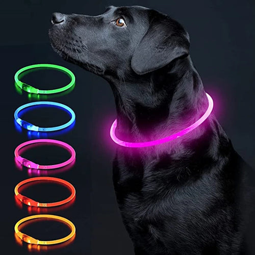 Luminous Dog Collar Light Charge Cat Necklace, Led Fashion Flashing