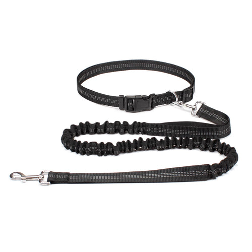 Hand Free Dog Leash for Pet Walking Running Jogging Adjustable Dog