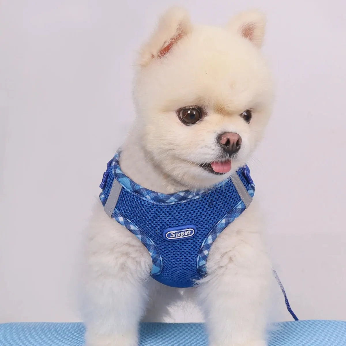 Supet 1pc Dog Harness, Anti-Pull, Pet Harness, Adjustable, Easy to