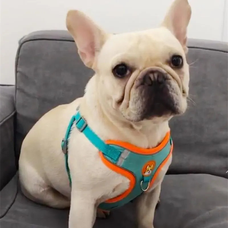 Adjustable No Pull Pet Reflective Dog Harness Lead Walking Running
