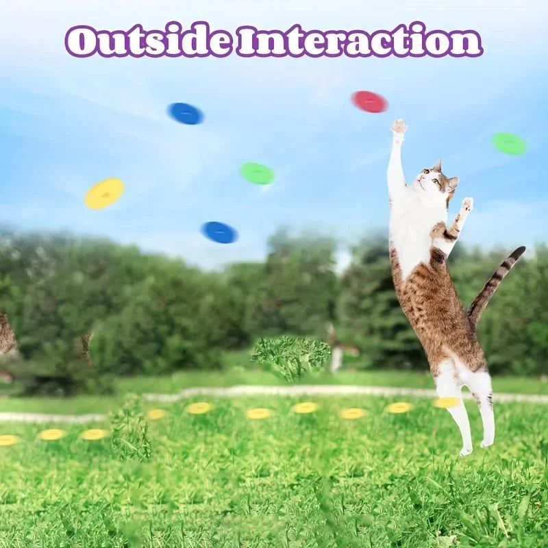 Cat Dog Toy with Colorful Flying Discs Set, Pet Toy Gun Launcher