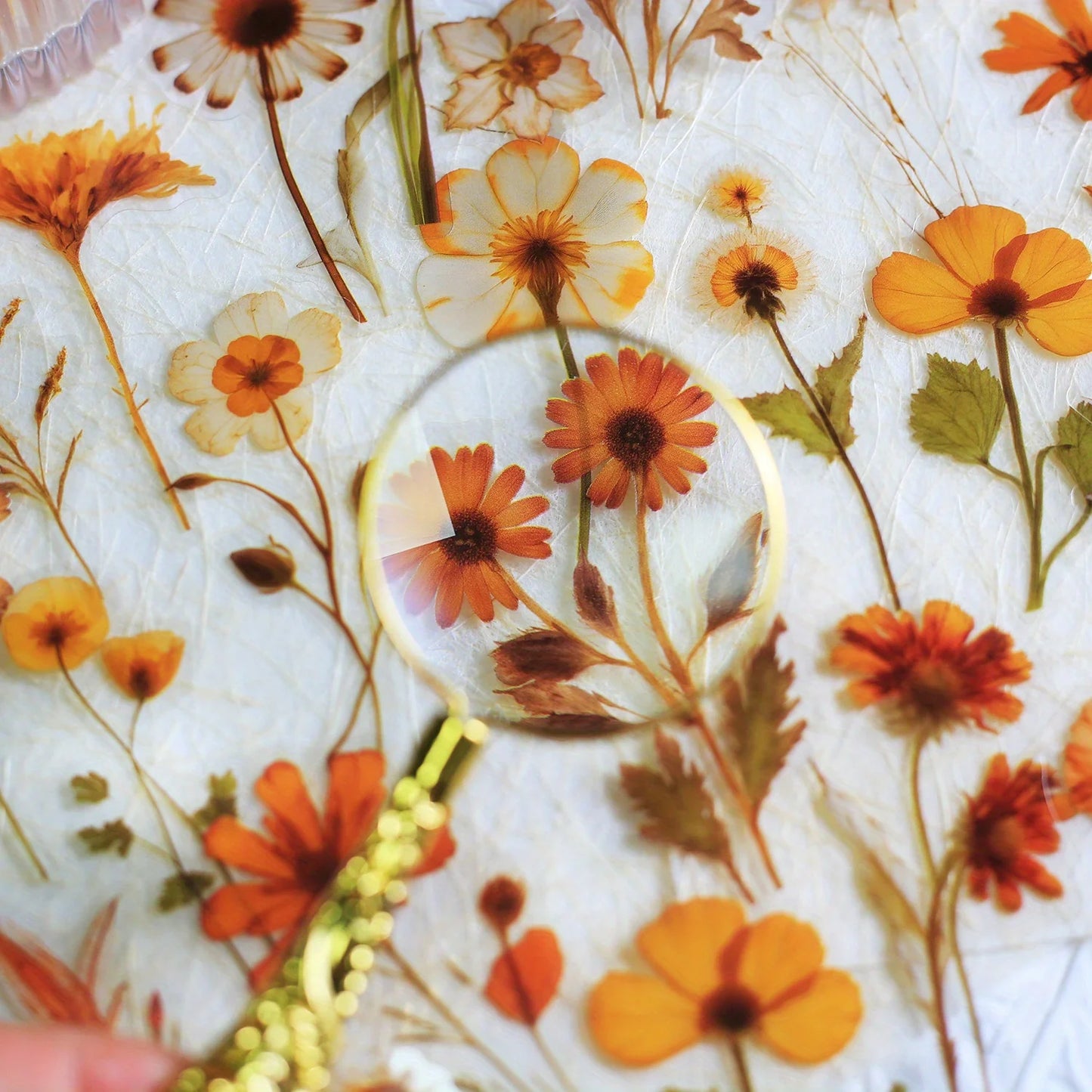 Journamm 50Pcs Transparent Decoration Flower Stickers for Scrapbooking