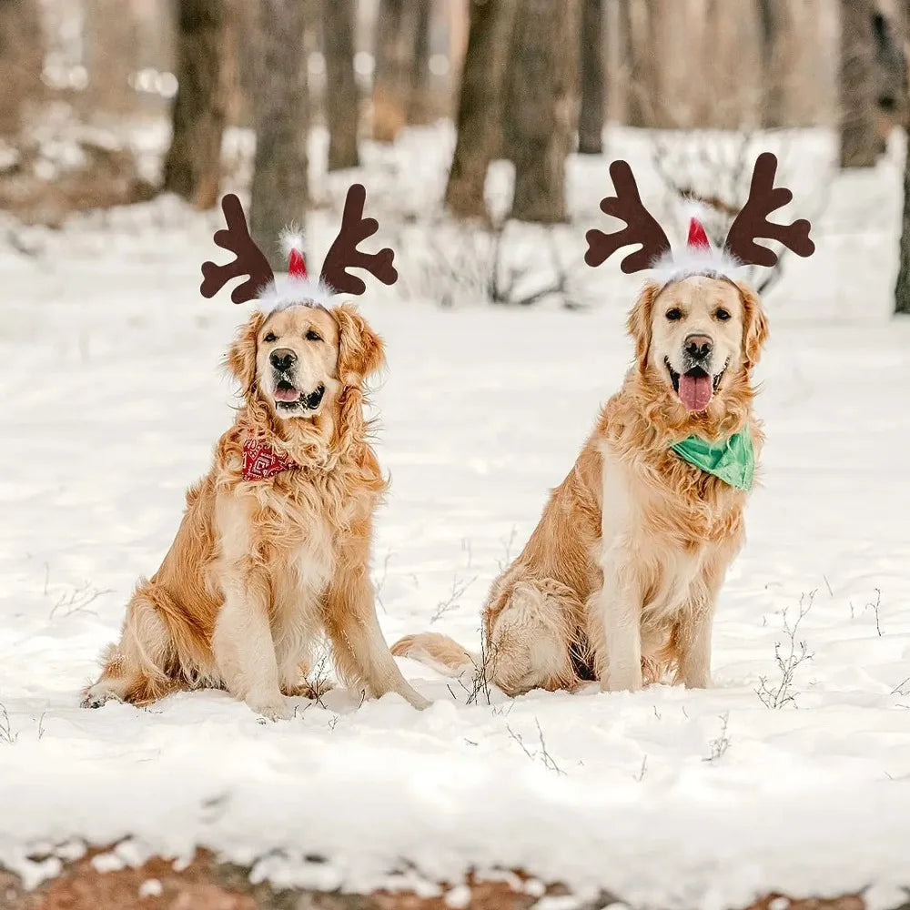 Christmas Decoration Pet Headwear Party Dress Up Antlers Hair Hoops