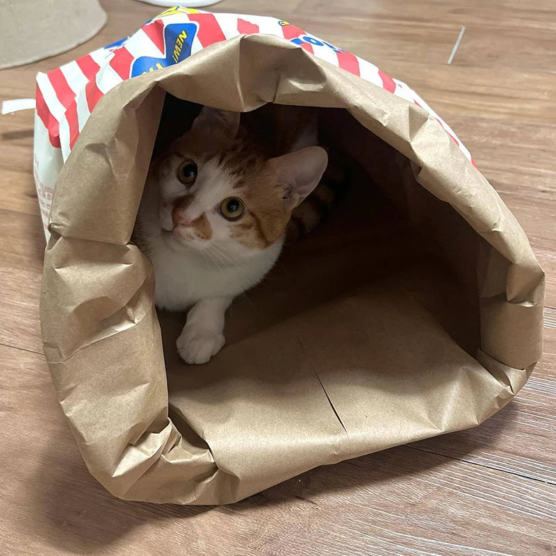 Creative Cute Hidden Food Pet Cat and Dog Kraft Paper Popcorn Paper
