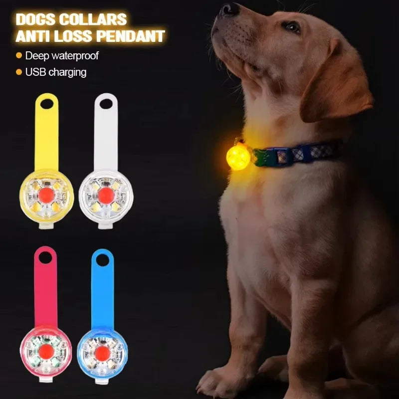 Dog collar, loss collar, weatherproof LED safety light, USB