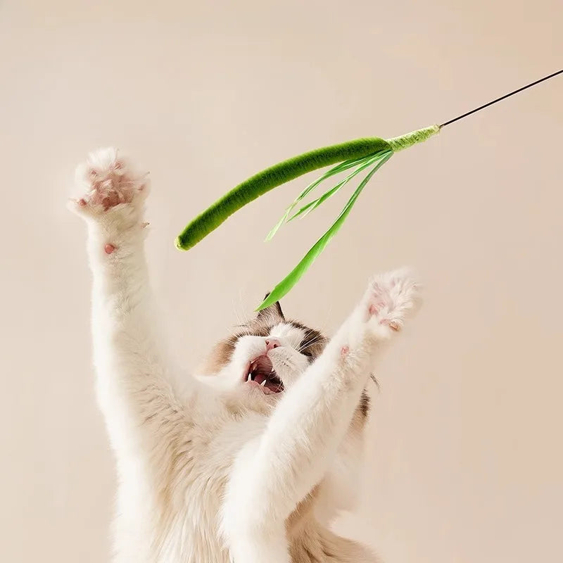 Cat Interactive Toy Cat Dog Tail Grass Dog Sage Feather Long Pole Cat
