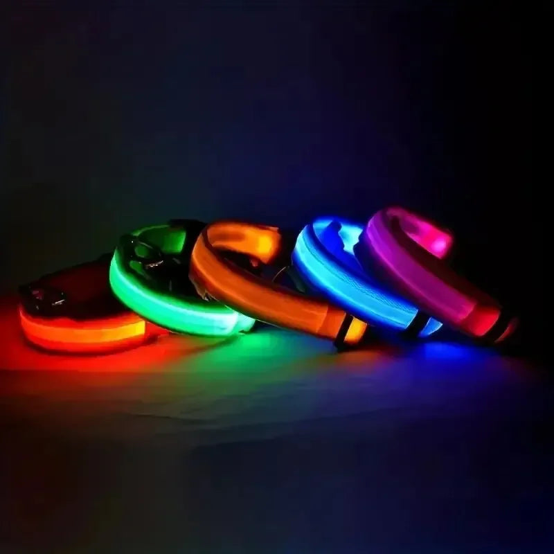 Light Up LED Pet Dog Collar Safety Night Walking Flashing Glow In The
