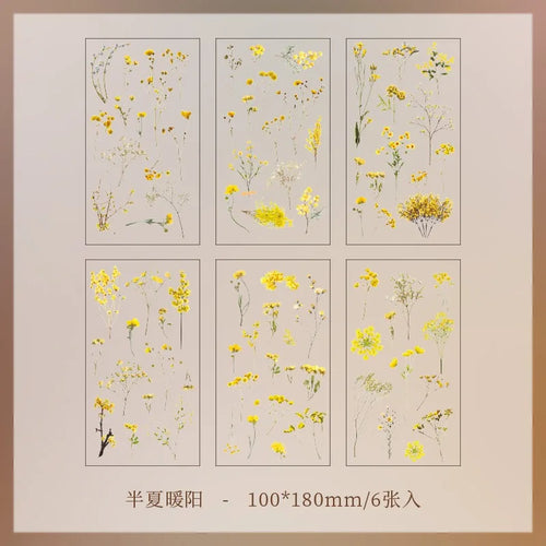 JIANQI 6pcs/pack Transparent PET Stickers Scrapbooking Materials DIY
