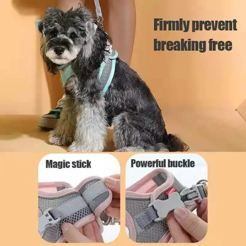 Cats Dog Accessories Small Dog Collar Safety Vest Pet Chest Rope Dogs
