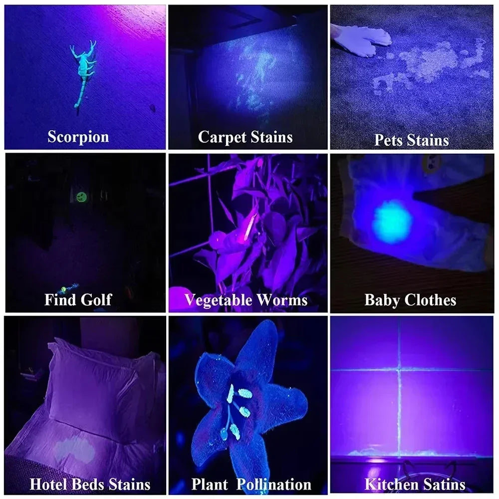 395nm UV Pen FLaslight,Blacklight Flashlight w/ Clip Portable Detector