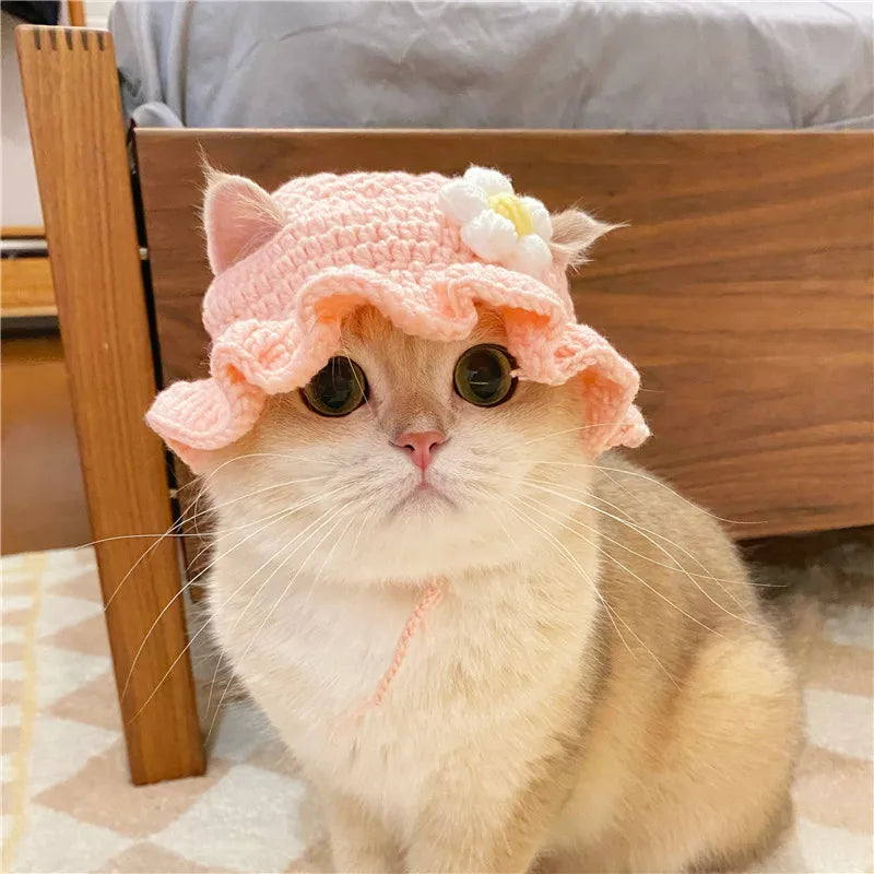 Autumn Winter Cat Hat Elastic Cute Refined Pet Hat Puppy Kittens