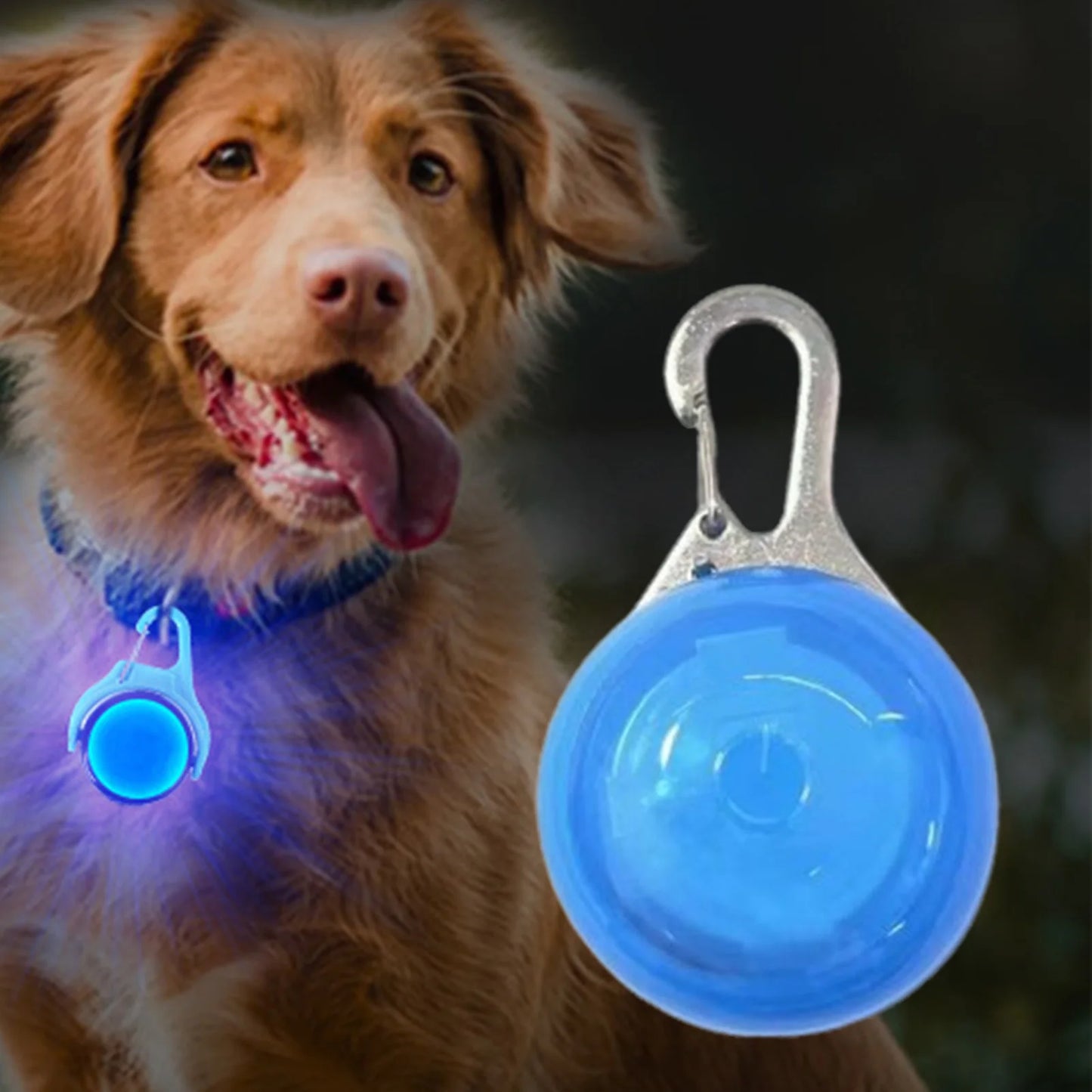 LED Glow Dog Collar Pendant Light Up Pet Accessories Night Safety