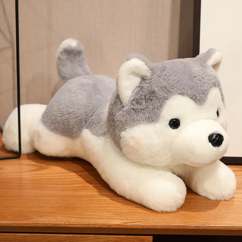 30/40CM Cute Husky Dog Plush Toy Stuffed Animal Soft Kawaii Lying