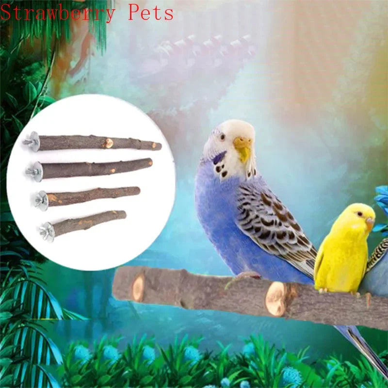 Natural Wood Pet Parrot Raw Wood Fork Tree Branch Stand Rack Squirrel