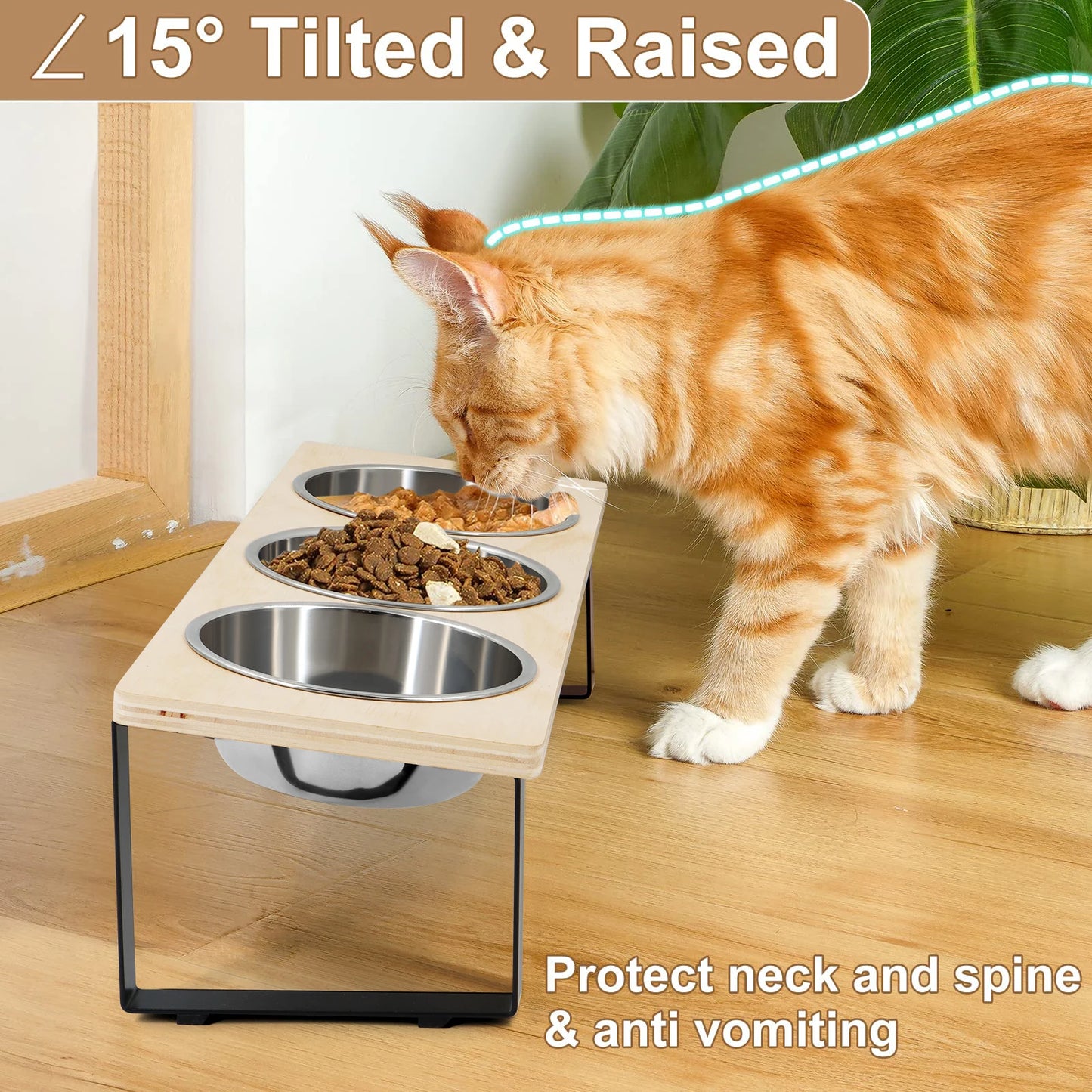 Elevated Cat Bowls Feeder 15° Tilted Raised Feeding & Watering