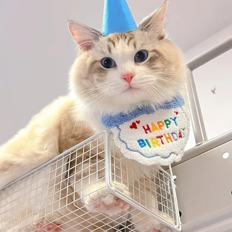 Adorable Dog Cat Puppy Birthday Hat & Bandana Set Cat Dog Accessories